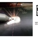 부성세정