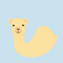 좋은의안 이미지