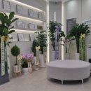 서울아산맥외과의원 이미지