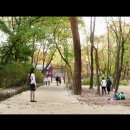 정릉65 이미지