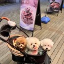 마왕족발송도남부점