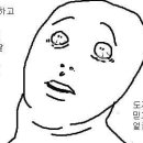 꽃길라이브