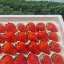 복수농장 이미지