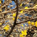 내호리 경로당 이미지