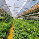 희정농장 이미지