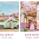 벚꽃 - 부평구 마장로324번길 78 | 벚꽃