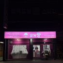 광주동구카페 | 광주 요거트 아이스크림 조대카페 &#39;요거팡동구점&#39;