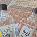 [내돈내산] 나도 먹어봤다!! 선양 오크 소주 솔직후기