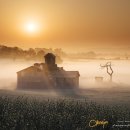 초림목장 이미지