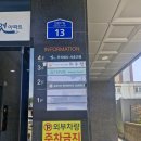 울산 파충류숍 와우펫앤쥬 방문후기 : 거들테일리자드, 액키모니터 실물 감상