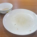군산 현지인 맛집, 맛스넥분식(하우스) 해물볶음밥 먹기
