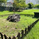 도련지석묘 1호 이미지