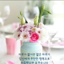 사는재미
