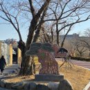 경주솔거미술관 | 경주 솔거미술관 🎨 관람 후기