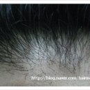 헤어맥스 이미지