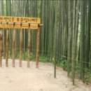 쉼표 더하기 이미지