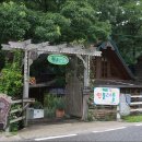 민들레울 이미지