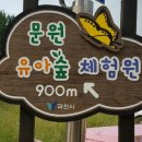 엘아이컴퍼니
