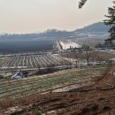 진성 태양광발전소 이미지