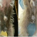 한솔(191) 이미지