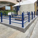 스테이 인 블루 이미지