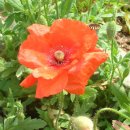 몸사랑농장 이미지