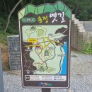 송정메타세콰이어길 이미지