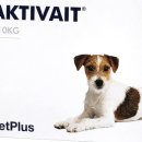 파라곤동물병원 이미지