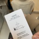 고영주택 | 김포 고양이카페 개냥이들 가득한 고영주택 예약 방문 후기, 리뷰