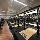 자마이카휘트니스 이미지