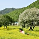 옥천공원 이미지