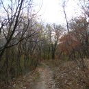 홍록배드민턴장 이미지