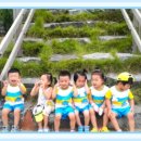 약초골한옥마을 이미지