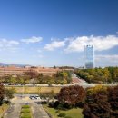 영남대학교 이미지