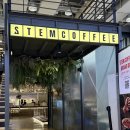 스템커피 | 코엑스 자리 넓은 베이커리 카페 스템커피 내돈내산 후기