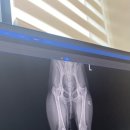 서현동물의료센터 이미지