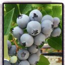 서석농장 이미지