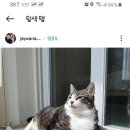 릭스(Rix) | 갤럭시 폰트리뷰 : 폰트릭스 Rix붕어빵