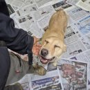 안양본동물의료센터 이미지