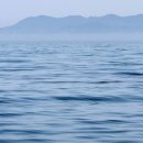 숨비소리 이미지