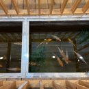 정성농장 | 꽃보다딸기 일산 농장 딸기따기체험 아이랑 재방문 후기 +토끼먹이주기