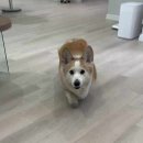 에이플러스필라테스 이미지