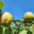 대승농장 이미지