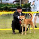 달구벌진도 이미지