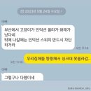 고양이가 인덕션 못만지게 하는 방법 이미지