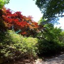 물레방아매점 이미지