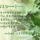 잎차 이미지