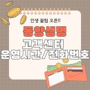 동양1 | 동양생명 고객센터 전화번호 상담 후기를 알려드립니다!