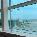 [2024 일본여행] 오사카 1일 차 01(간사이 공항/규카츠 토미타)