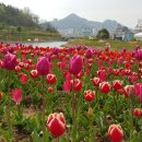 삼학도 무장애길 입구 이미지